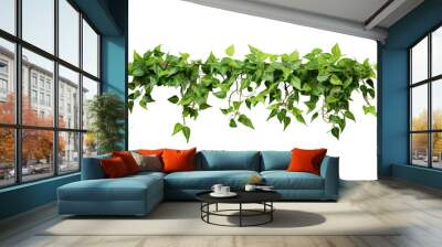 Shrubs, vines of popular tropical plants, creepers, isolated on white transparent background. Wall mural