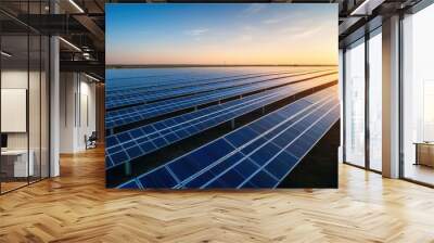 Solar panels, top view in the electrical industry innovation where engineers work to maintain solar panel systems with sunlight. Wall mural