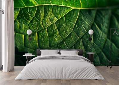 Vibrant green leaf texture with detailed veins, natural lighting, soft shadows, Wall mural