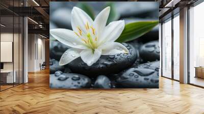 Zen stones and white lily in serene spa setting Close-up photo with clean background Wall mural