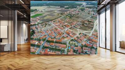 Segovia.Aerial view in Coca, historical village with castle in Spain Wall mural