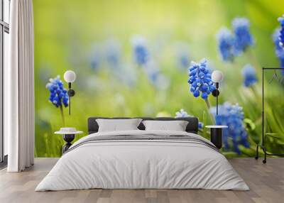 closeup blue spring flowers  and fresh green grass. natural summer floral background Wall mural