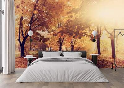 colorful autumn landscape with yellow trees and sun, natural bac Wall mural