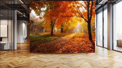 colorful trees and rural road in deep autumn forest, natural background Wall mural