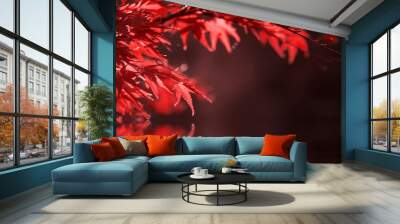 red leaves on tree branch. natural autumn background Wall mural