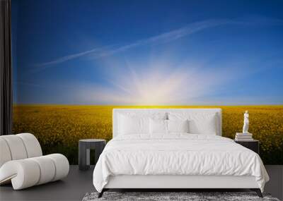 rural field of yellow flowers under the blue cloudy sky. summer (spring, autumn) background Wall mural