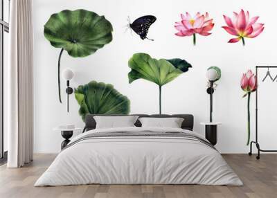 A set of pink lotuses with green leaves, a bud, seeds, butterflies, hand-painted with watercolor and watercolor pencils, for making stylish compositions and a set of isolated object for your design. Wall mural