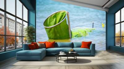 Fishing cage on the Lake, with caught fish. Fishing, nets to keep live fish in the water. Wall mural