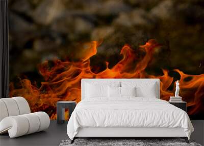 Flames of fire on a background of nature. Fire close-up. Forest fires, burning trees. Firewood by the fireplace. Wall mural