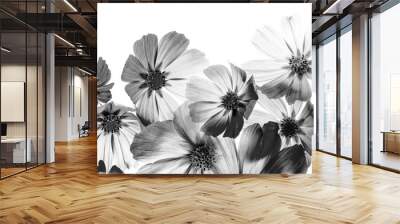 a beautiful floral background from flower petals Wall mural