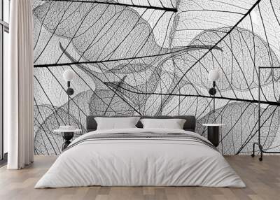 black leaves on white background - textured background Wall mural