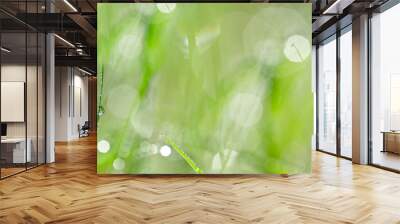 dewy grass - background with empty space for text Wall mural