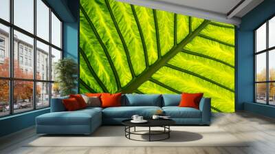 exotic leaf in detail Wall mural