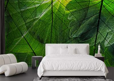 green leaf in the detail Wall mural