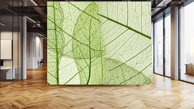 green leaf texture Wall mural