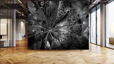 leaf close up in black and white Wall mural