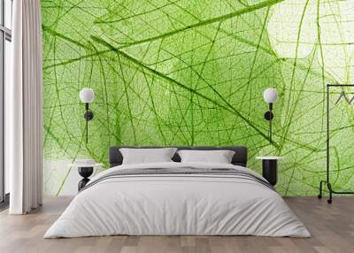 leaves background Wall mural