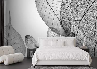 leaves skeletons with veins and cells macro photograph Wall mural