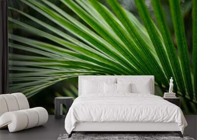 palm leaf in the detail Wall mural