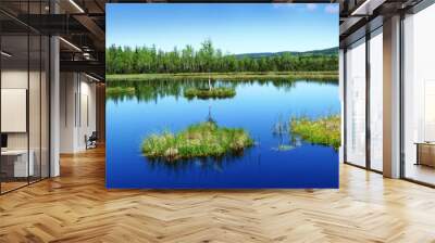 peat lake - morass in reservation Wall mural