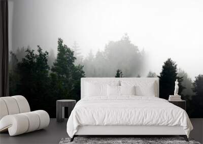 silhouette of forest against white sky - foggy dark forest Wall mural