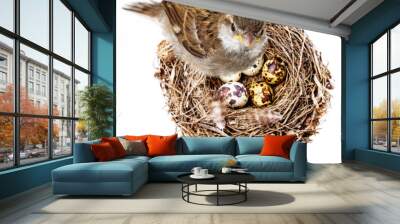 sparrow bird and a nest Wall mural