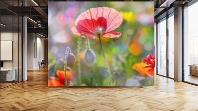 summer meadow with red poppies Wall mural