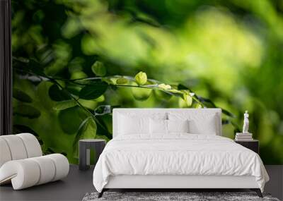 tree leaves and bokeh light background Wall mural