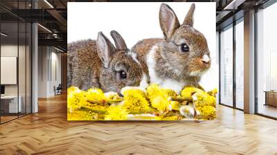 two little rabbits and spring branch Wall mural