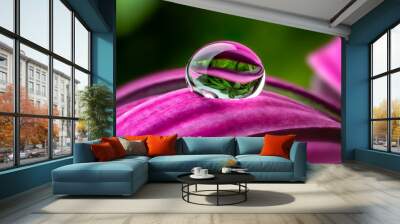 water drop on a flower - macro photo Wall mural