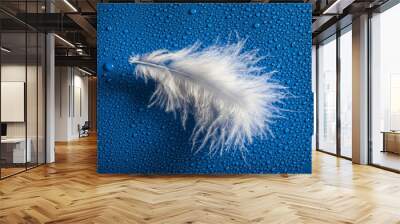 white feather on a dewy background Wall mural