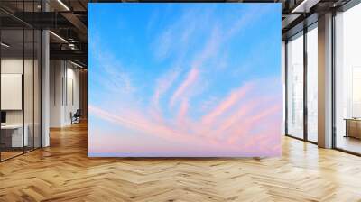 Pink сirrus clouds blue sky panoramic background, cirrostratus cloud texture, purple evening sunset, red dawn heaven, morning sunrise cloudscape, striped fluffy wispy cloudy skies, cloudiness panorama Wall mural