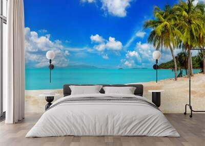 Tropical island sea beach, beautiful paradise nature panorama landscape, coconut palm tree green leaves, turquoise ocean water, blue sky sun white cloud, yellow sand, summer holidays, vacation, travel Wall mural