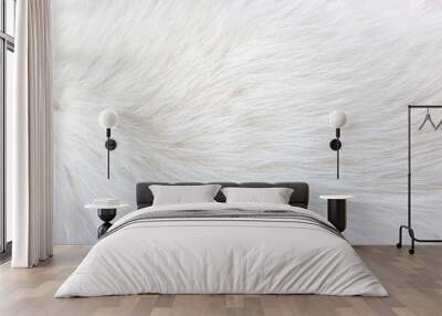 White animal fur. Weasel or cat hair. Fur clothes, white fur coat close up. Wall mural