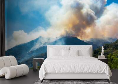 Rainforest fire, wildfire, smoke disaster is burning caused by humans during the dry season Wall mural