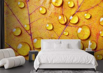 Bright yellow autumn leaf with water drops. Macro photography. Flat lay. Wall mural