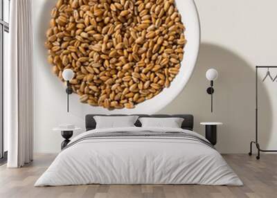 Wheat cereal grain. Grains in a bowl. Shadow over white table. Wall mural