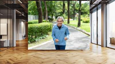 portrait active asian senior man workout in the park,elderly lifestyle,activity,exercising Wall mural