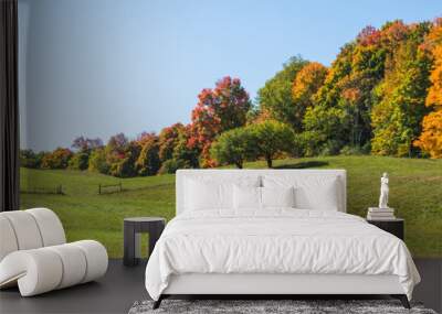 rolling hills on a farm meadow  in fall with trees showing autumn foliage colors 
 Wall mural