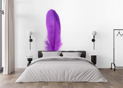 Delicate purple feather on white background Wall mural