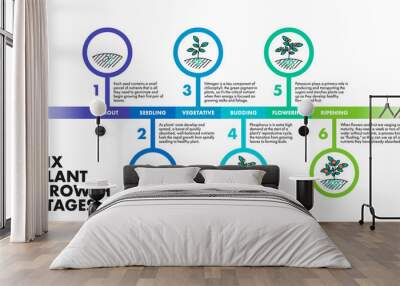 Plant growth stages infographics. Vector modern poster showing six plant growth stages with illustrations and descriptions. Educational infographics template describing the development of a plant Wall mural