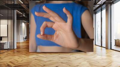 OK gesture. Female caucasian hand gestures isolated on blurred background Wall mural