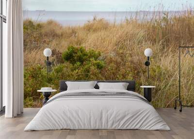 coastal vegetation on dunes and sea Wall mural