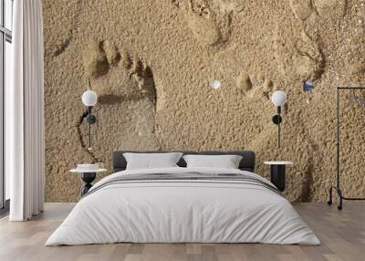 footprint in sand Wall mural