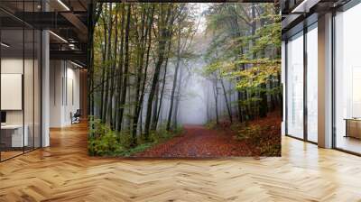 Kasse, germany,Autumn forest / Alemania  Wall mural