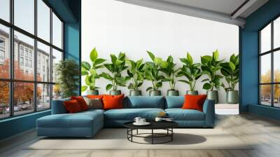 Potted plants on a white background,ai generated Wall mural