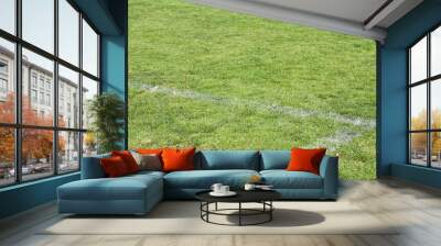 white sports field boundary lines in grass Wall mural