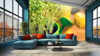 Fresh watercress sprouts Wall mural