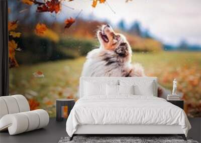 Vertical shot of a purebred Australian shepherd playing in the field with fallen autumn leaves Wall mural