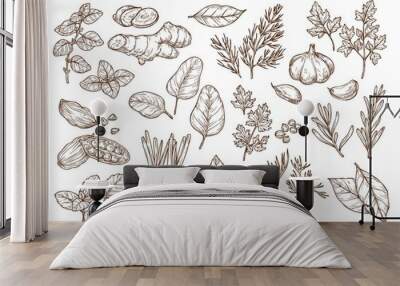 Sketch illustration of spices and herbs. Hand drawing.  Wall mural